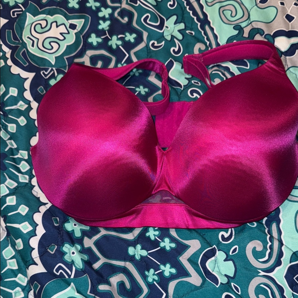 Cacique Vibrant Magenta Bra